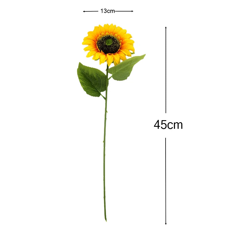 Sunflower with measurements on a white background