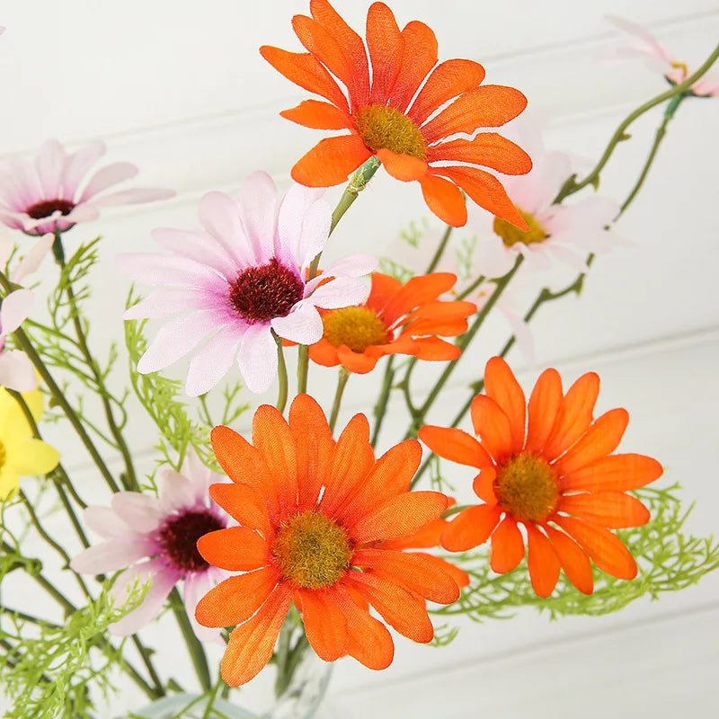 Close-up of orange and pink flowers on a white background