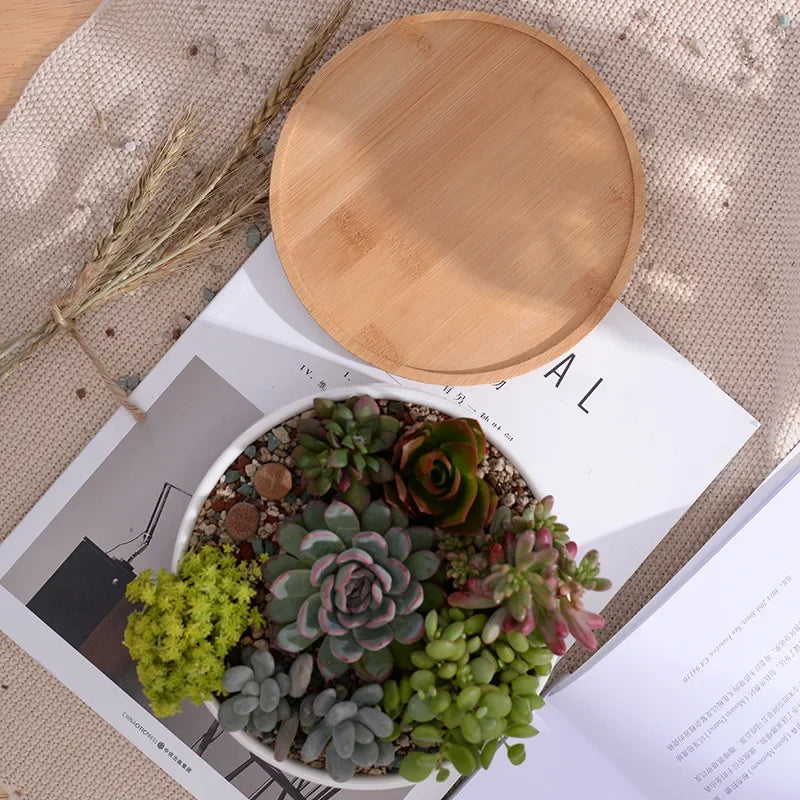 Wooden plate on top of an open magazine with a small potted plant.