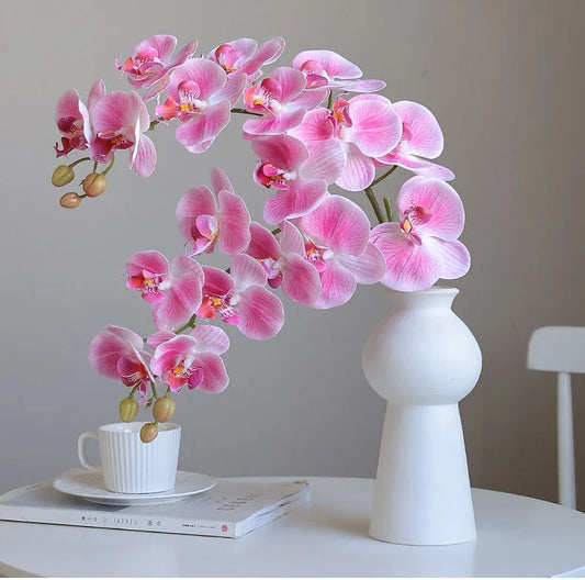 Pink orchids in a white vase on a table with a neutral background