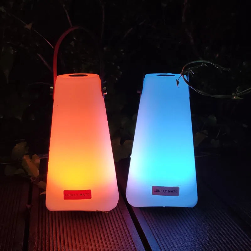 Two colorful LED lamps on a dark surface with a natural background