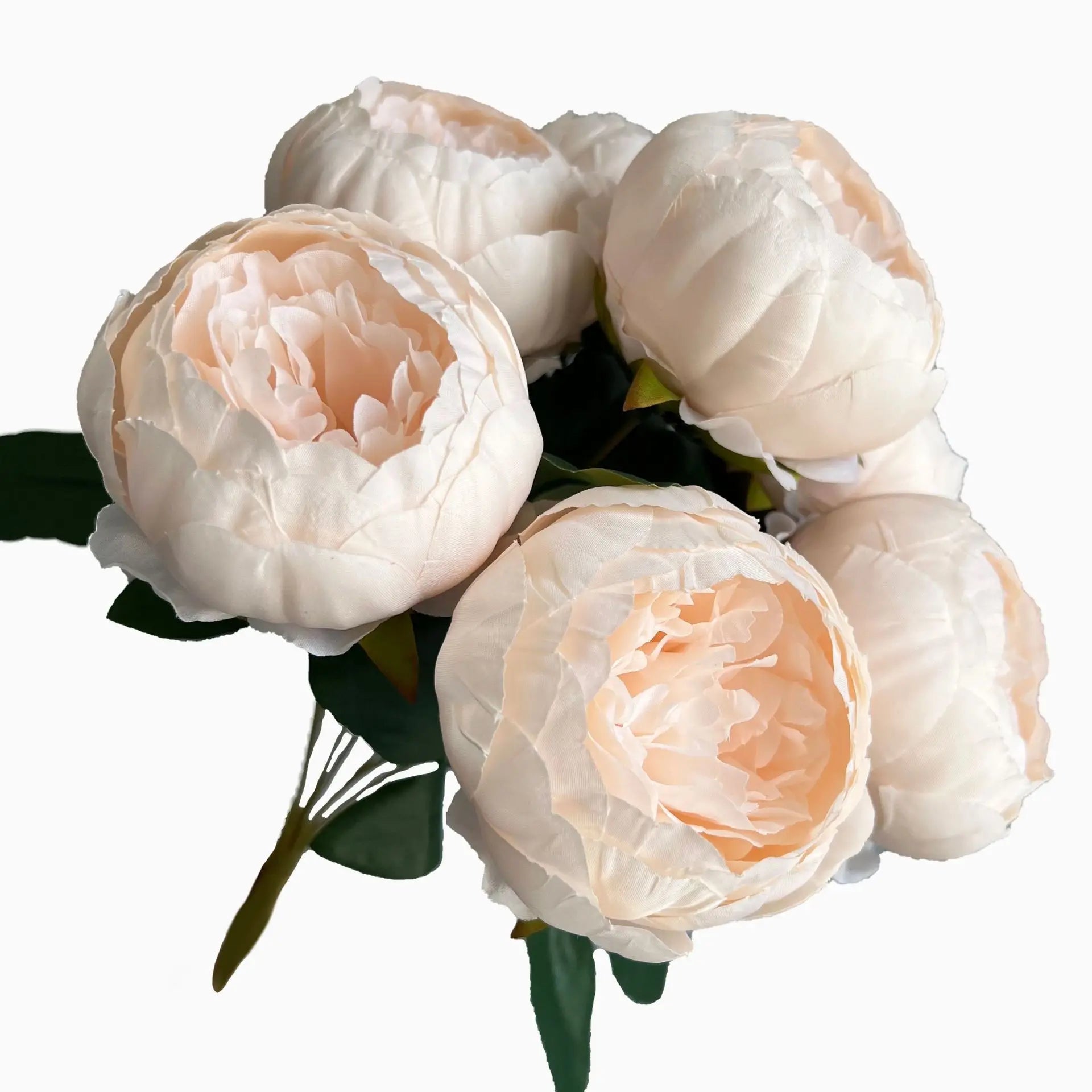 Bouquet of white peonies with green stems on a white background