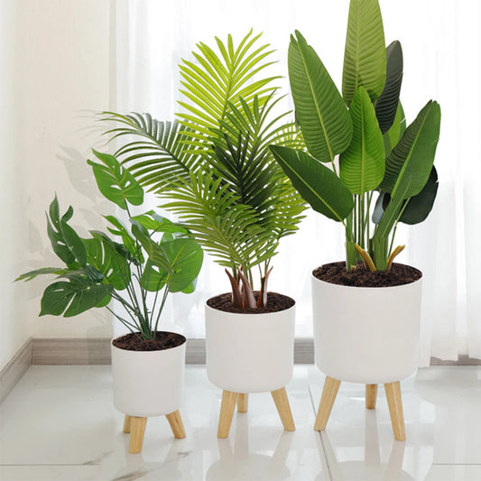 Three potted plants in white pots with wooden legs on a light floor.