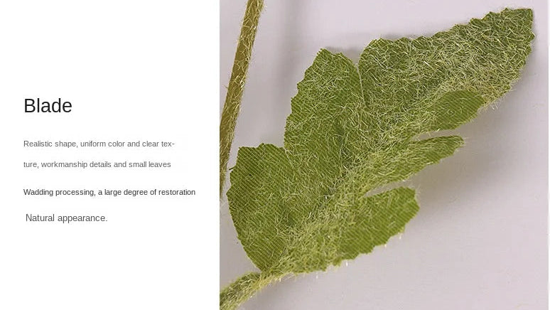 Close-up of a green leaf with text on a white background