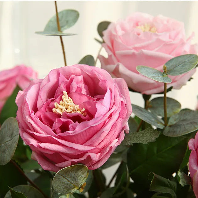 Close-up of pink flowers with green leaves on a light background