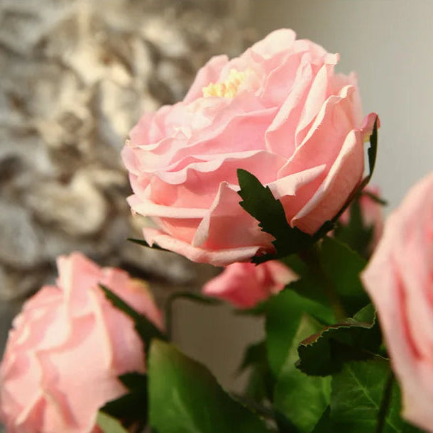 Pink flowers with green leaves on a blurred background