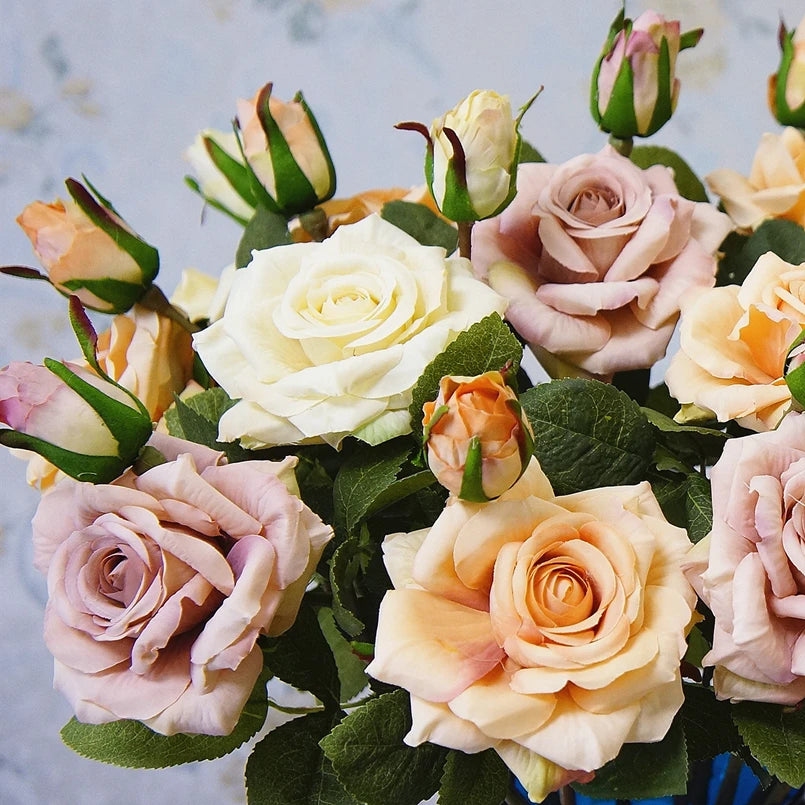 Bouquet of multicolored roses with green leaves on a light background
