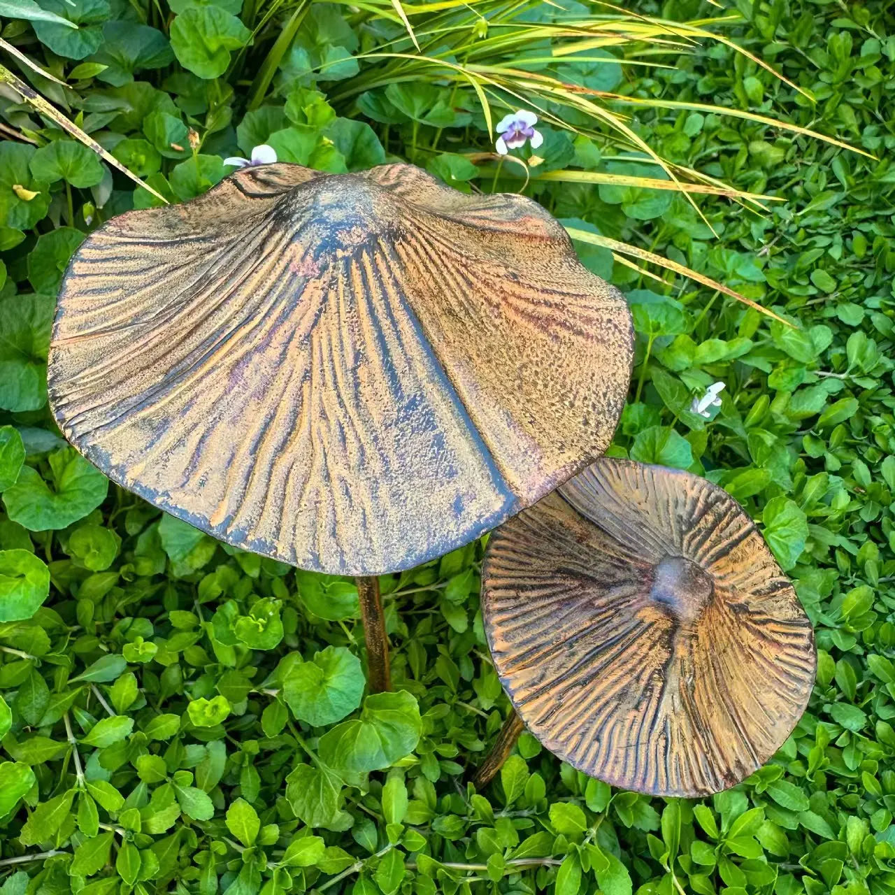 Garden Décor - Frilly Mushrooms (Metal)
