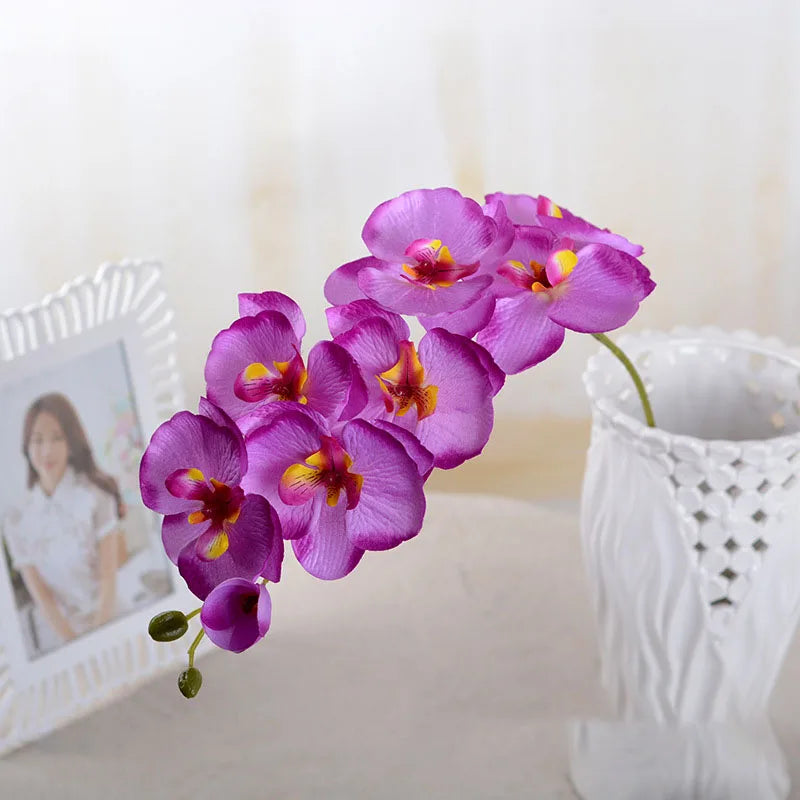 Orchids