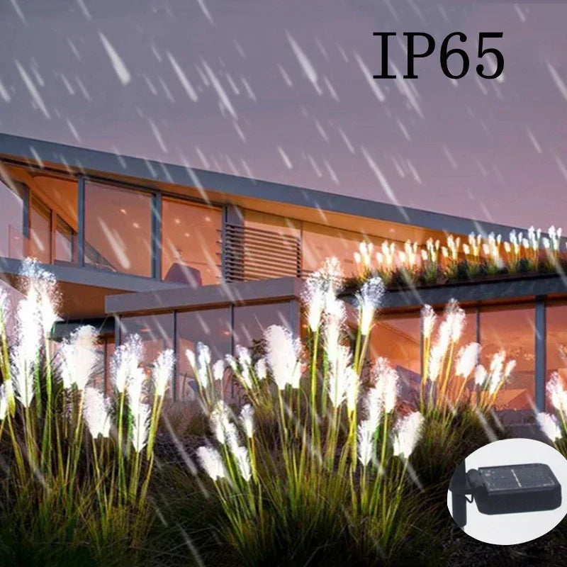 Outdoor scene with modern building, illuminated plants, and IP65 rating label.