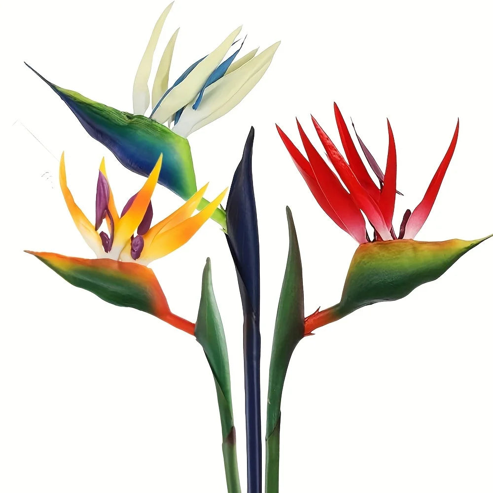 Three colorful birds-of-paradise flowers on a white background