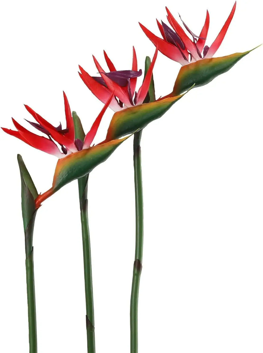 Artificial red and green tropical flowers on a white background
